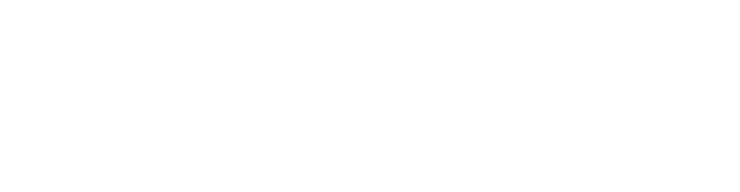 PEGASUS Logo Sep25 - White on dark By OE